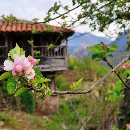 Villa Casa La Parra Villar de Vildas Esterno foto