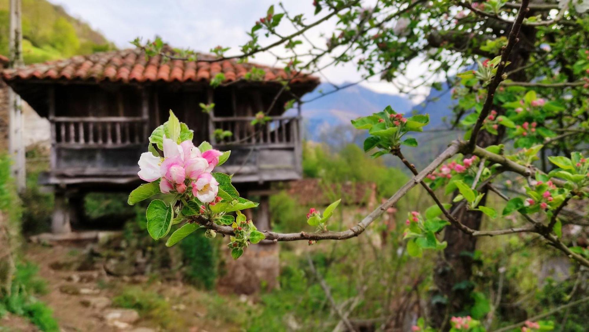 Villa Casa La Parra Villar de Vildas Esterno foto